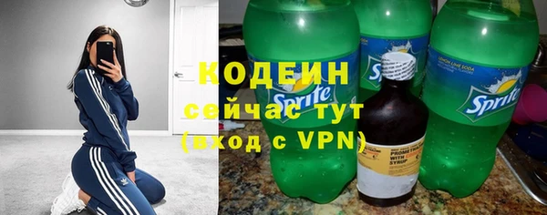 СК Гусь-Хрустальный