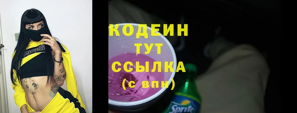 СК Гусь-Хрустальный