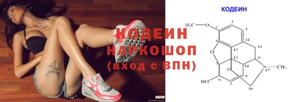 СК Гусь-Хрустальный