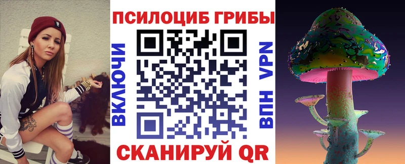 Галлюциногенные грибы прущие грибы Купить где Юрьев-Польский